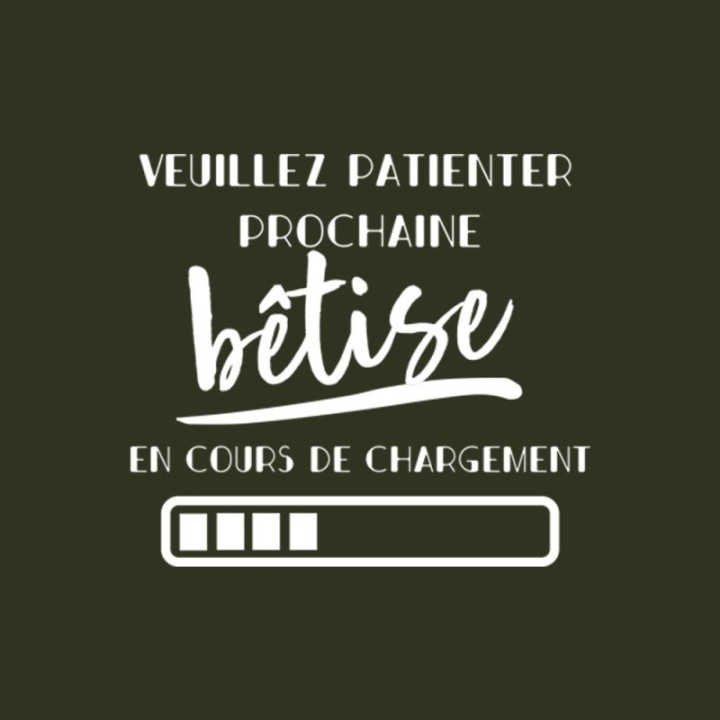 Tip Top Tshirt - T-shirt Femme Bêtise en cours de chargement - Made in France