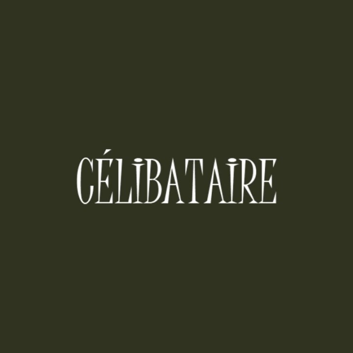 Tip Top Tshirt - T-shirt Femme Célibataire - Made in France