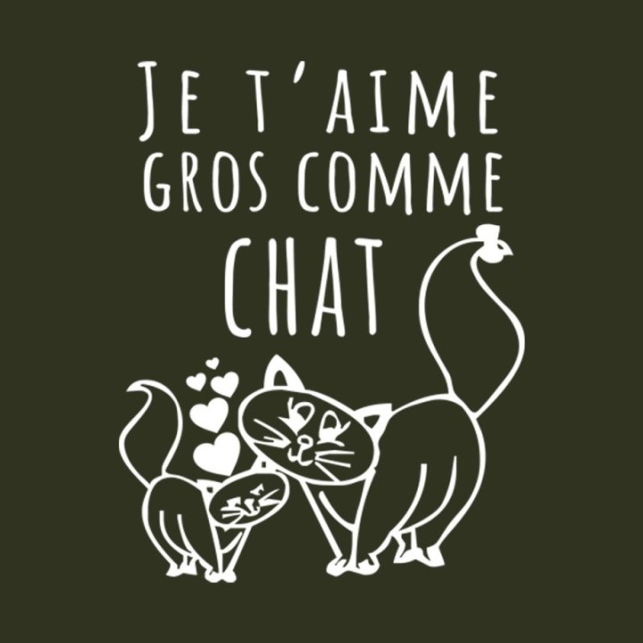 Tip Top Tshirt - T-shirt Homme Je t'aime gros comme chat - Made in France
